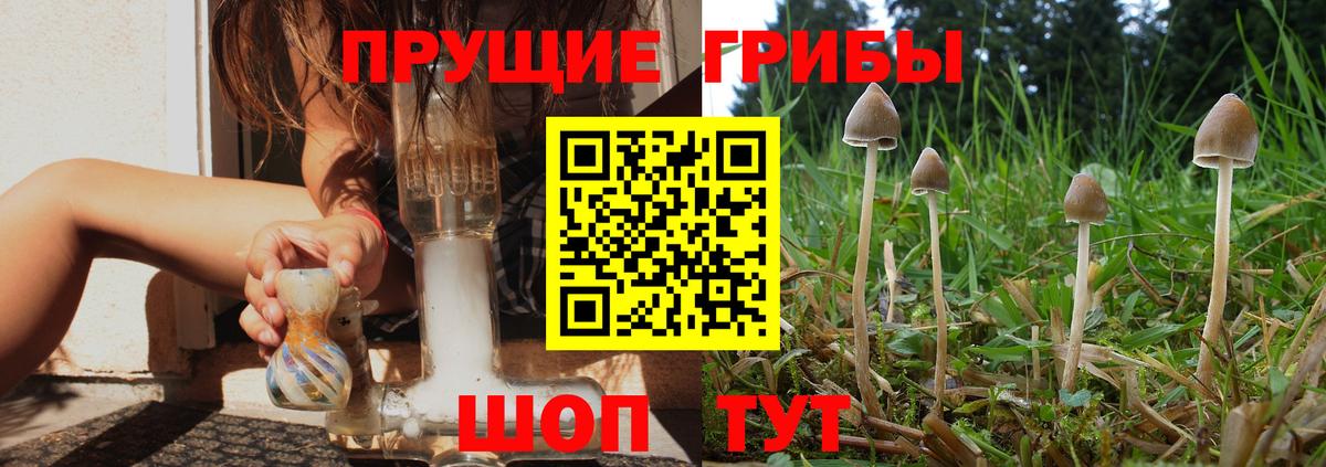 Котовск  Псилоцибиновые грибы мухоморы  Галлюциногенные грибы мицелий  Вход с VPN 