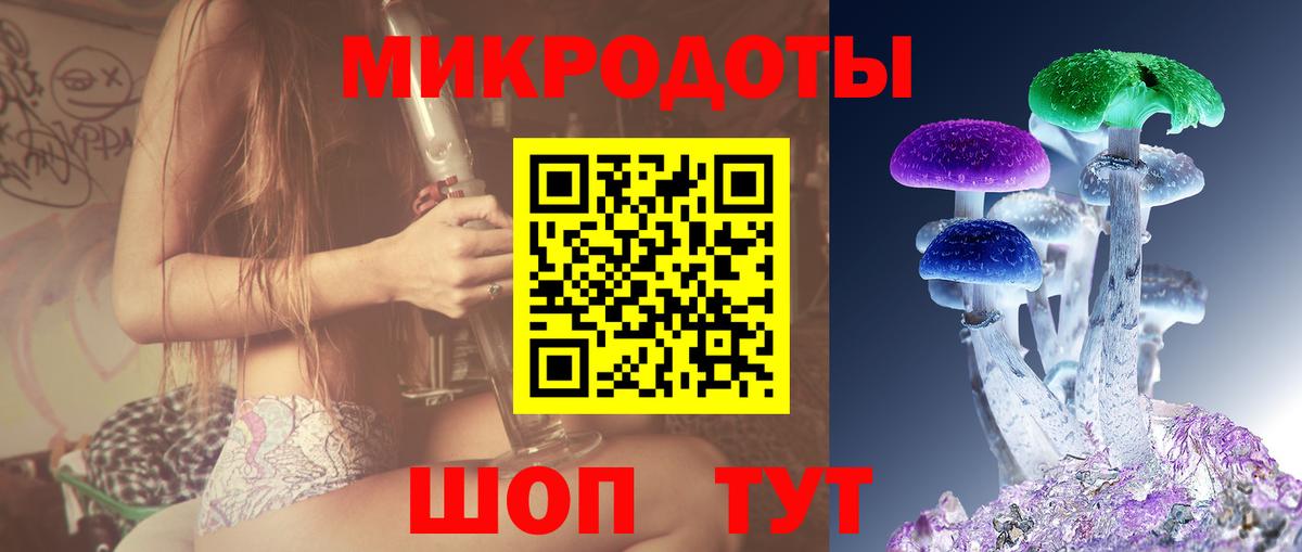 Псилоцибиновые грибы Psilocybe Котовск